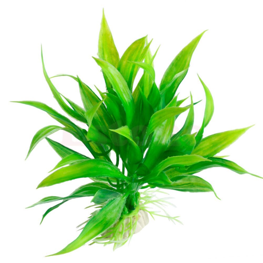 15cm artificiale acquario Deco - Dry Herb Vaping Accessories recensione e prezzo