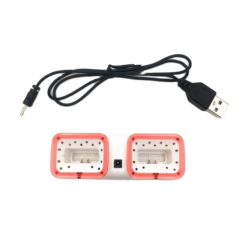Caricatore Rapido Dual USB per - Battery Case Storage recensione e prezzo
